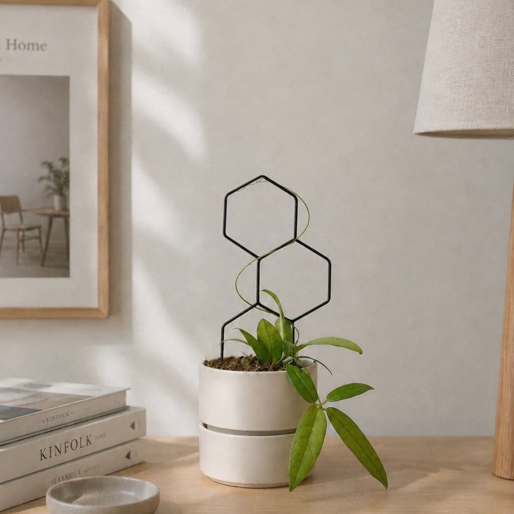 コンクリート壁の棚に飾った PLANTS POLE(ブラック)と蔓性の観葉植物。六角形の影が壁に映るインテリアグリーンの実例