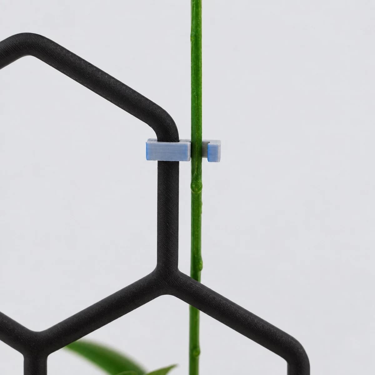 PLANTS POLE 拡張パーツ 六角形+留め具 樹脂版 - 辺同士をつないで伸ばせる -(ブラック)